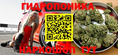 Альфа ПВП Тверь