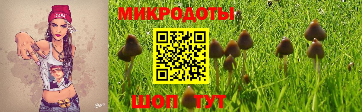 Чехов  Псилоцибиновые грибы Psilocybe  Вход с VPN 