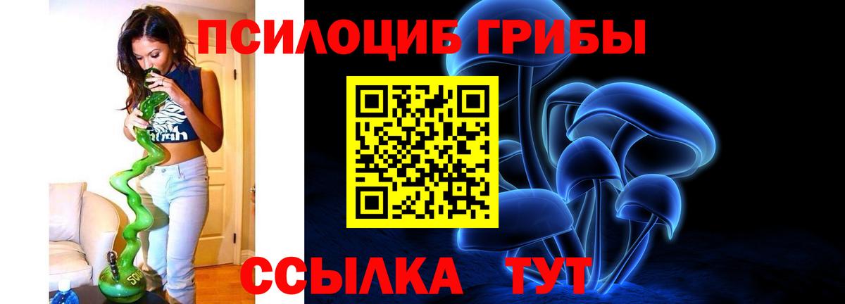 Псилоцибиновые грибы мухоморы Чехов